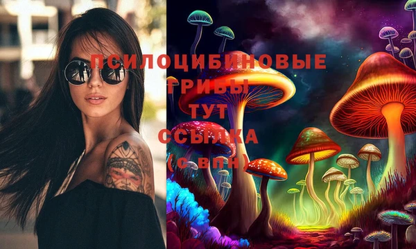 2c-b Вязники